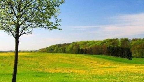 丹麥：童話(huà)無(wú)處不在的國(guó)度圖片